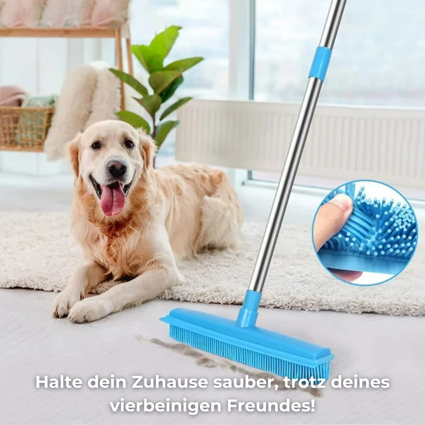 Pet Hair Broom – Tierhaare weg in Sekunden!